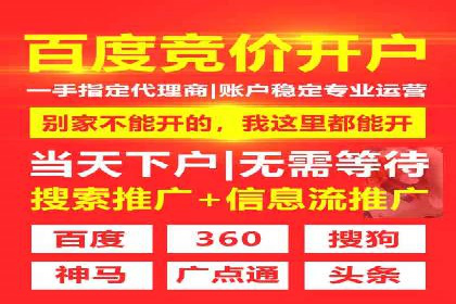 竞价代运营成功案例解析